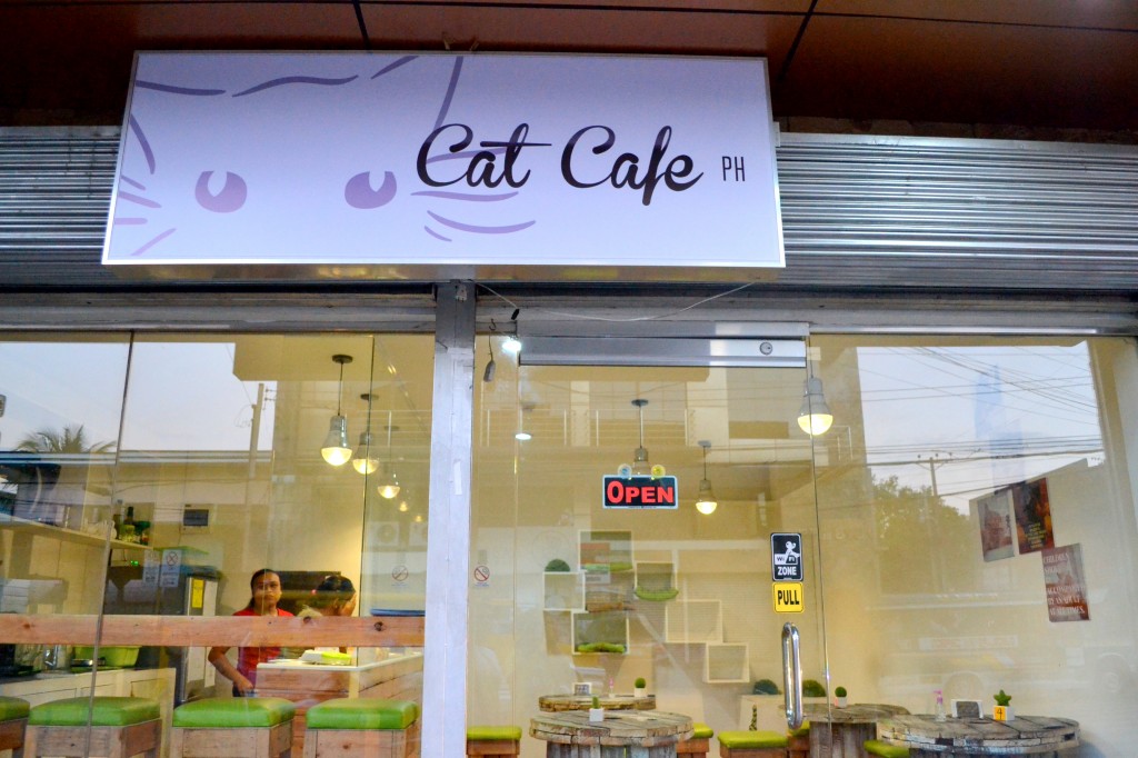 Cebu Cat Cafe