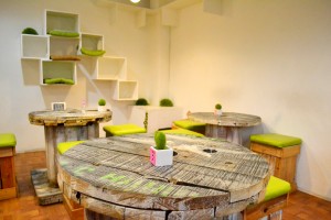 Cebu cat Cafe - Interior Design