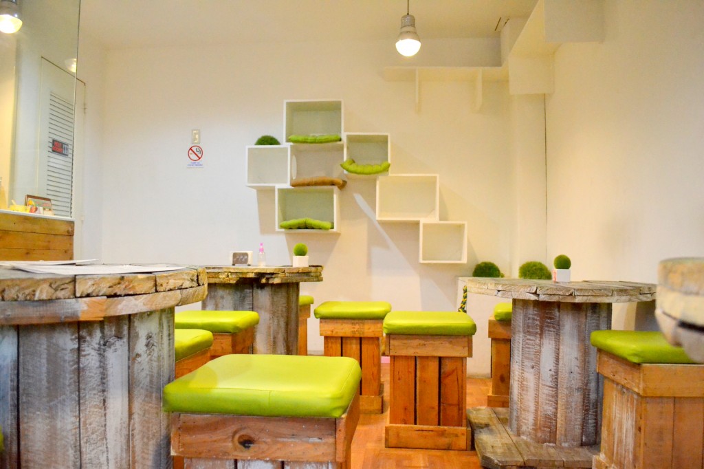 Cebu cat Cafe - Interior Design