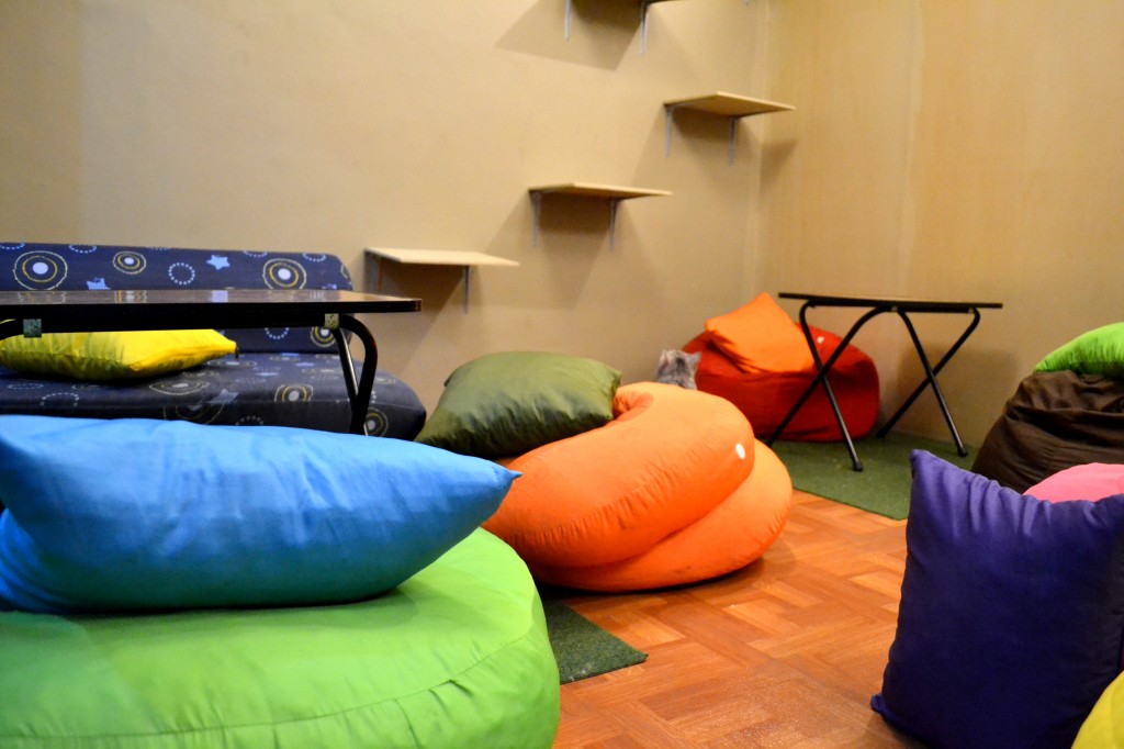 Cebu Cat Cafe Extension Room