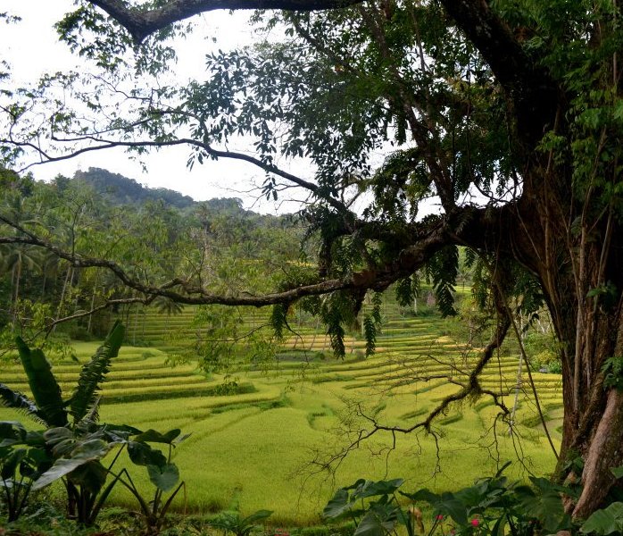 314162_3330304748428_2003200575_n