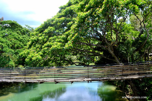 Bohol Hanging Bridge