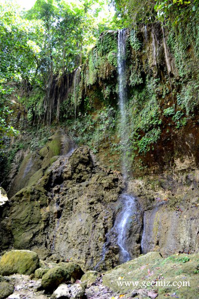 Kawasan Falls in Balilihan