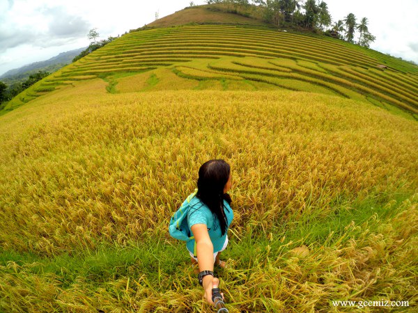 Cadapdapan Rice Terraces in Bohol