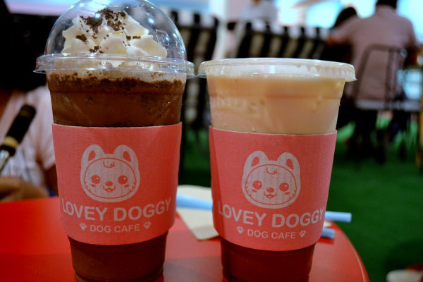 Both puppy sizes. Left: Cookies and Cream Frappe and Right: caramel Machiato.