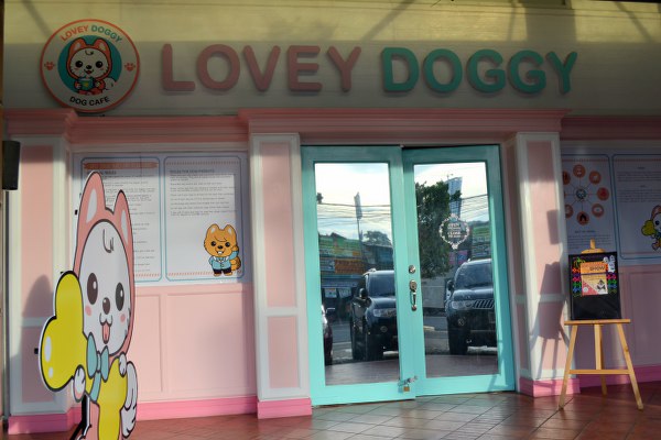 Dog Cafe in Cebu