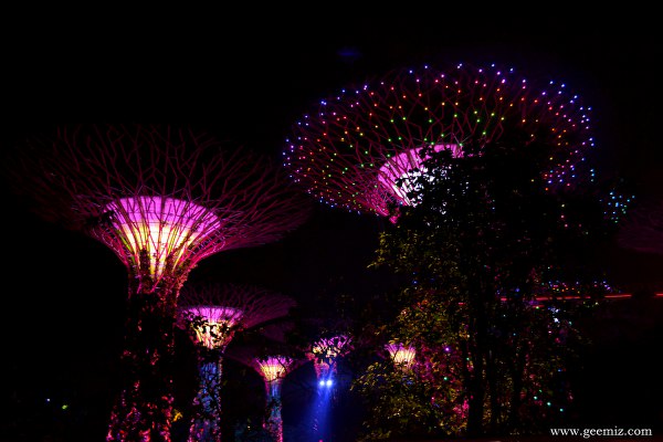 Garden by the Bay Singapore