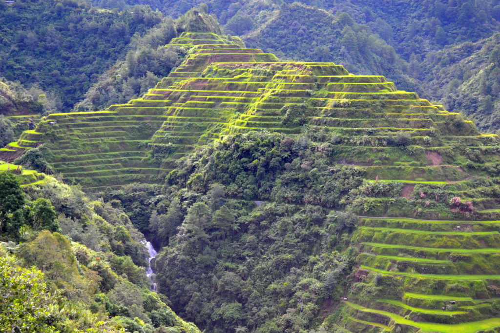 Ifugao Rice Terraces