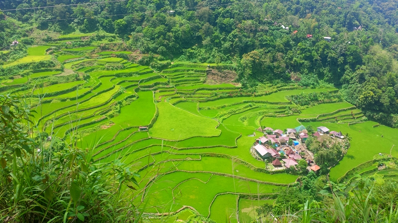 Bangaan Rice Terraces