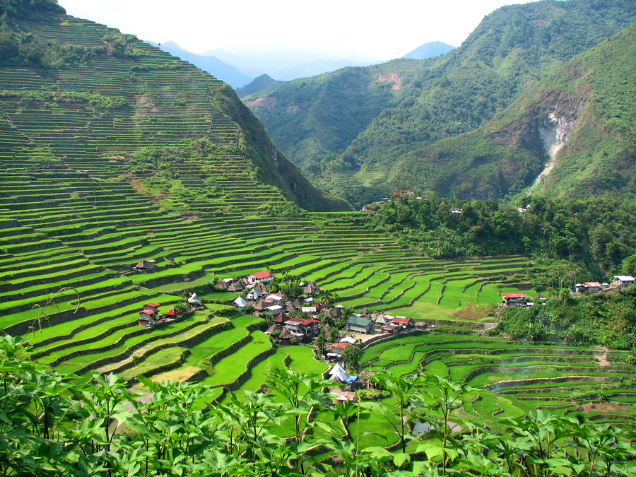 Batad Rice Terraces