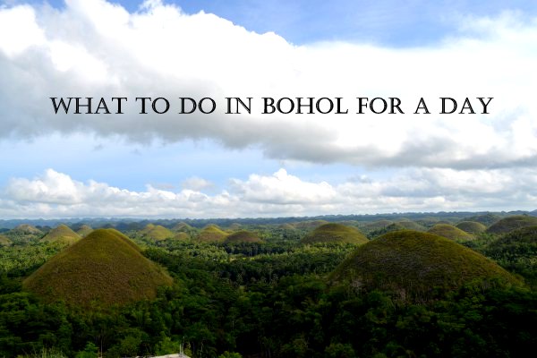 1 Day in Bohol