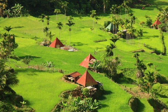 Mayoyao Rice Terraces