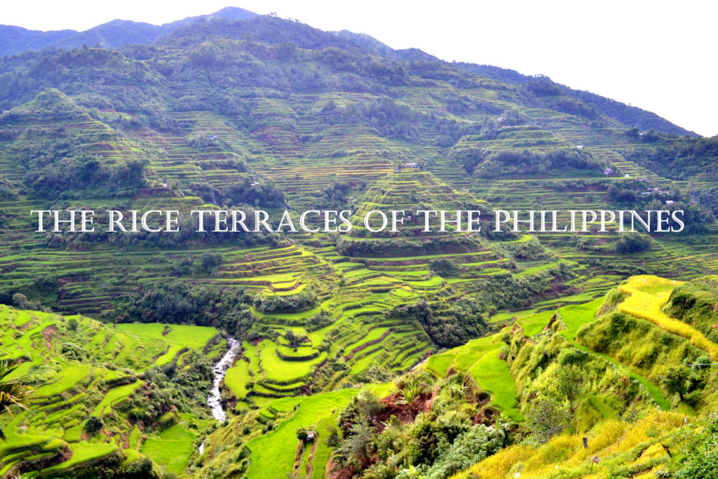 Rice Terraces of the Philippines