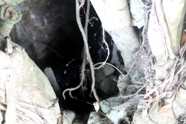 Ruins of Banza- Butuan Travel Guide