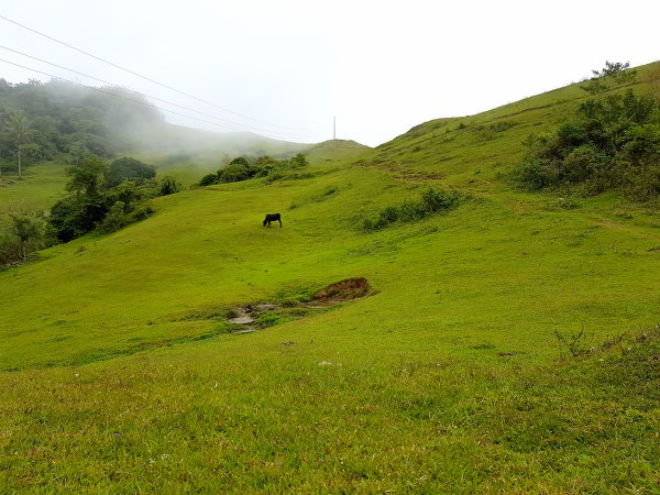 Mount Mago with a horse