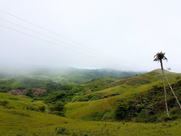 Trail to Mago Peak