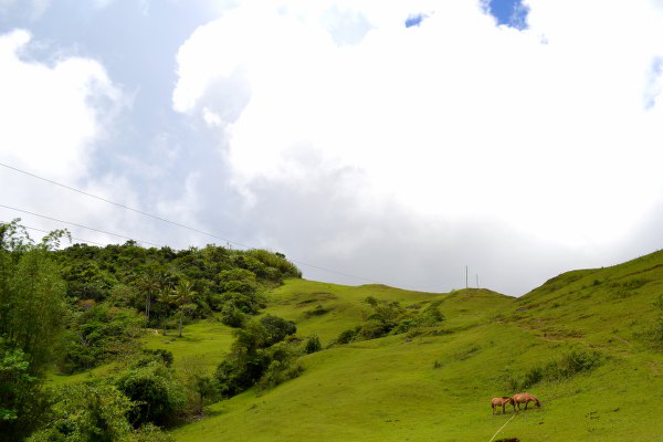 Mago Peak in Carmen Cebu