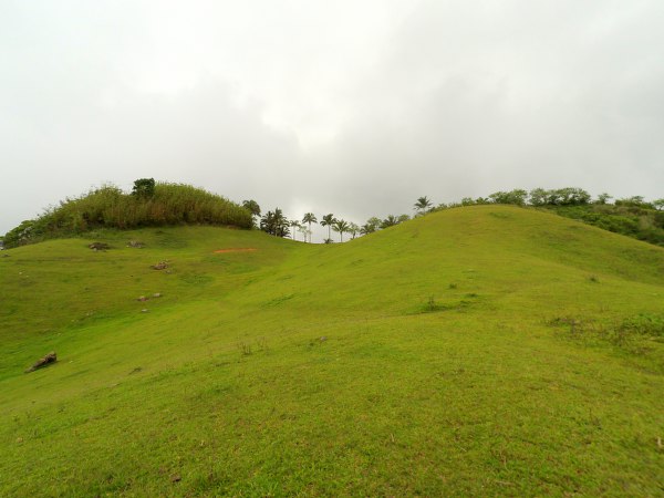 Beauty of Mago Peak in Carmen