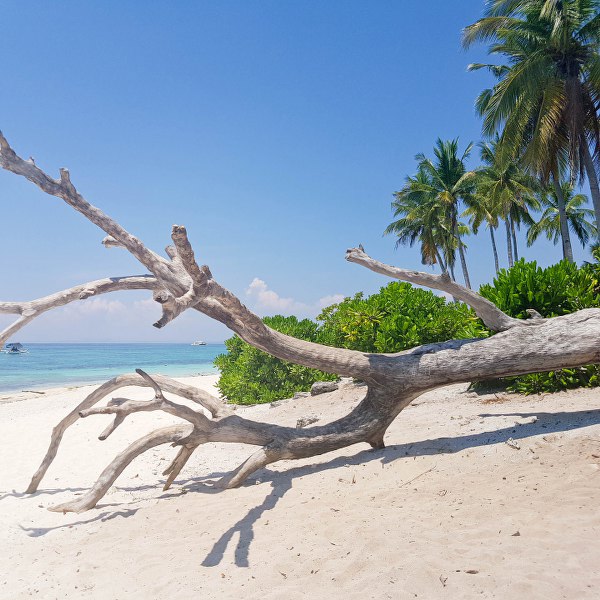 Kalanggaman island itineraray