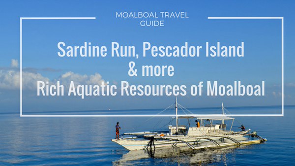 Cebu to Moalboal Travel Guide