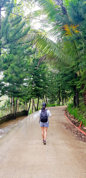 Cebu safari park walk