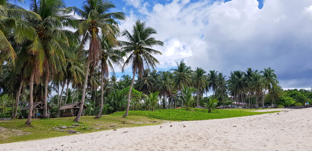 Camotes Island Bakhaw Beach