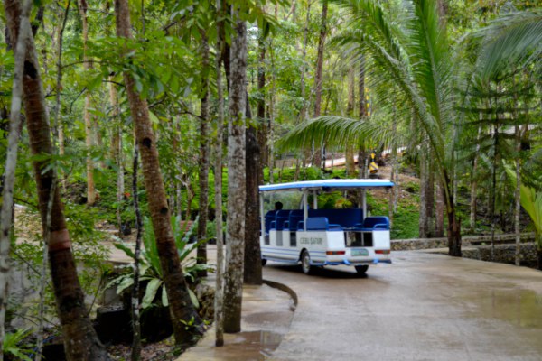 Tram of Cebu Safari in Carmen