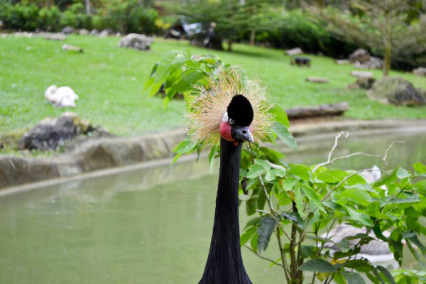 Adventure park in Carmen