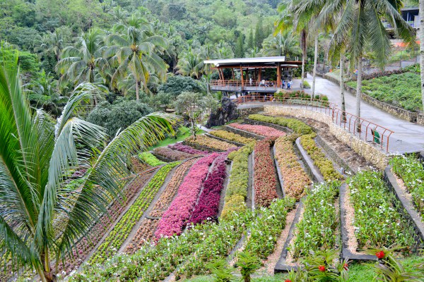 Cebu Safari Carmen Garden
