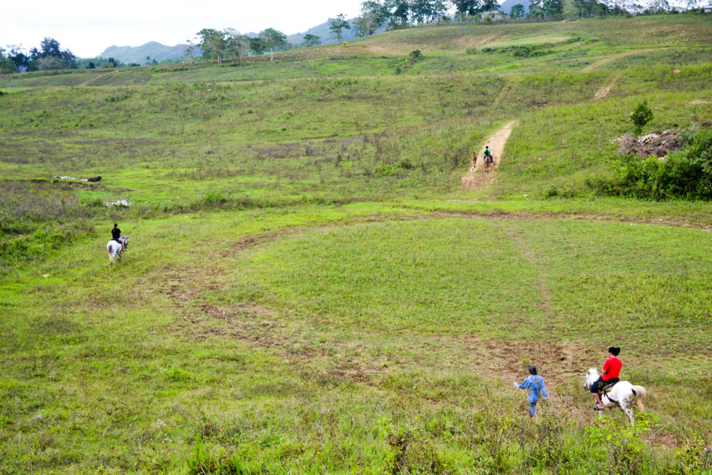 Danasan Horseback Riding