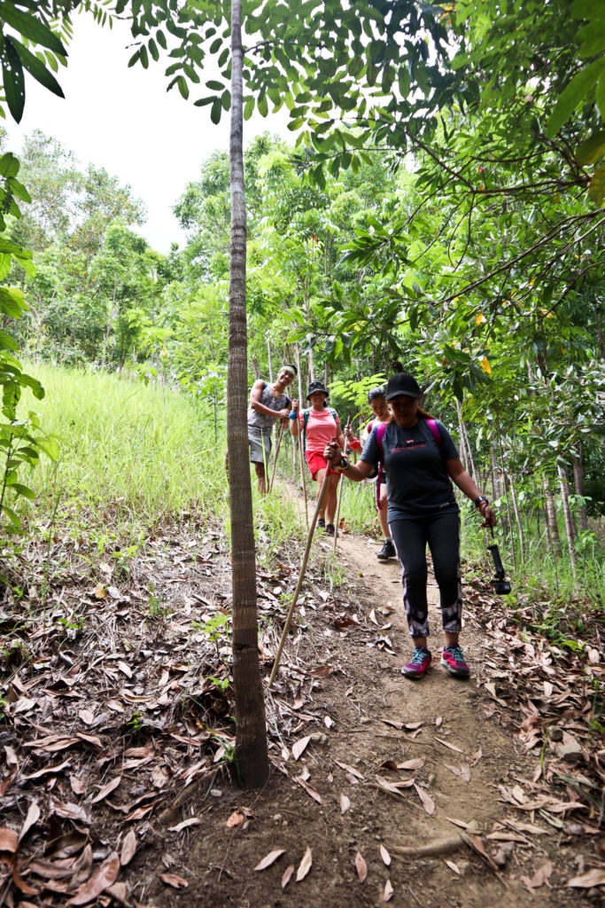 Trekking in Bohol - Alicia Panoramic Park