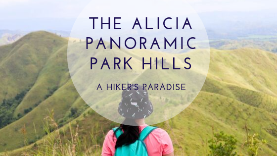 The alicia panoramic park hills