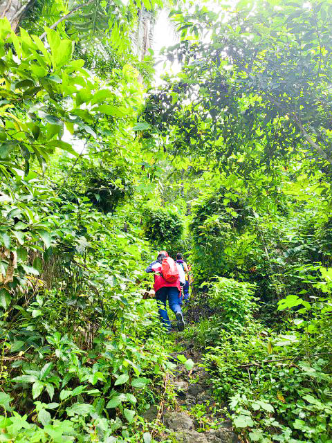 Start trail of Mt canhumangad