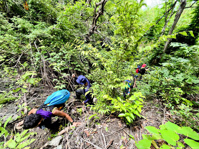 Forest Trail in Jagna Bohol