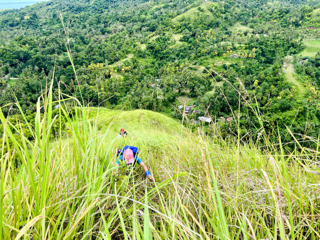 Steep Slope and Cogon Grass in Mt. Taliwtiw