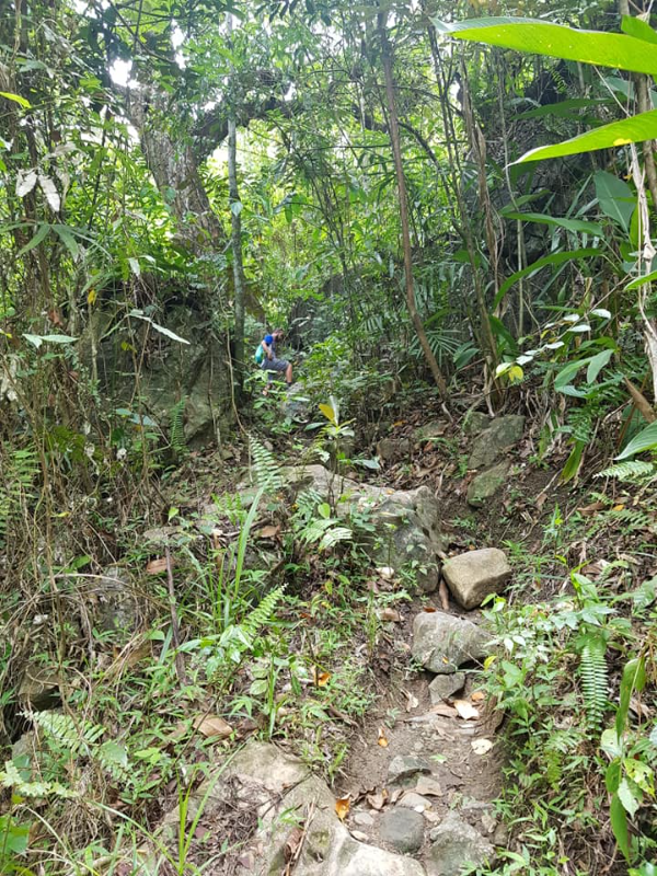 Let us go day hiking in cebu